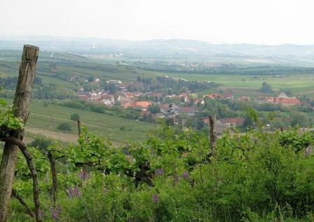 haugsdorf